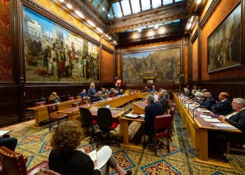 AA boss to chair parliamentary group