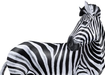 Rathbones snaps up Investec unit