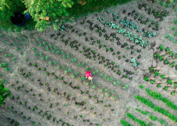 Redwheel advances its sustainability fund offering