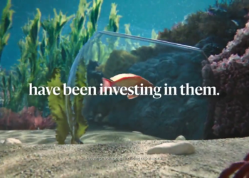 Blackstone displays an ocean of opportunity