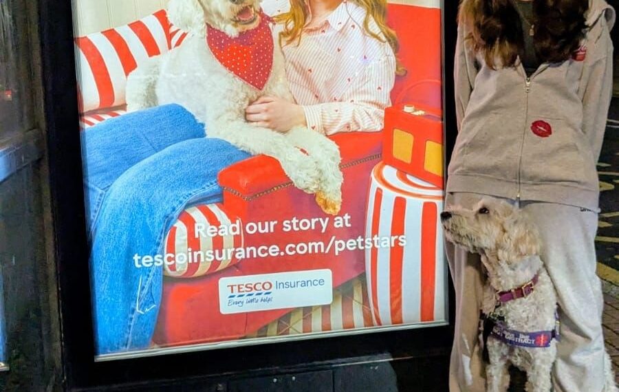 Tesco Insurance enlists real employee to promote pet insurance