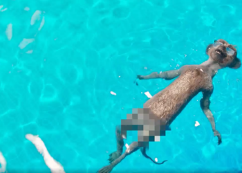 Compare the Market shifts focus to saving time, not just money