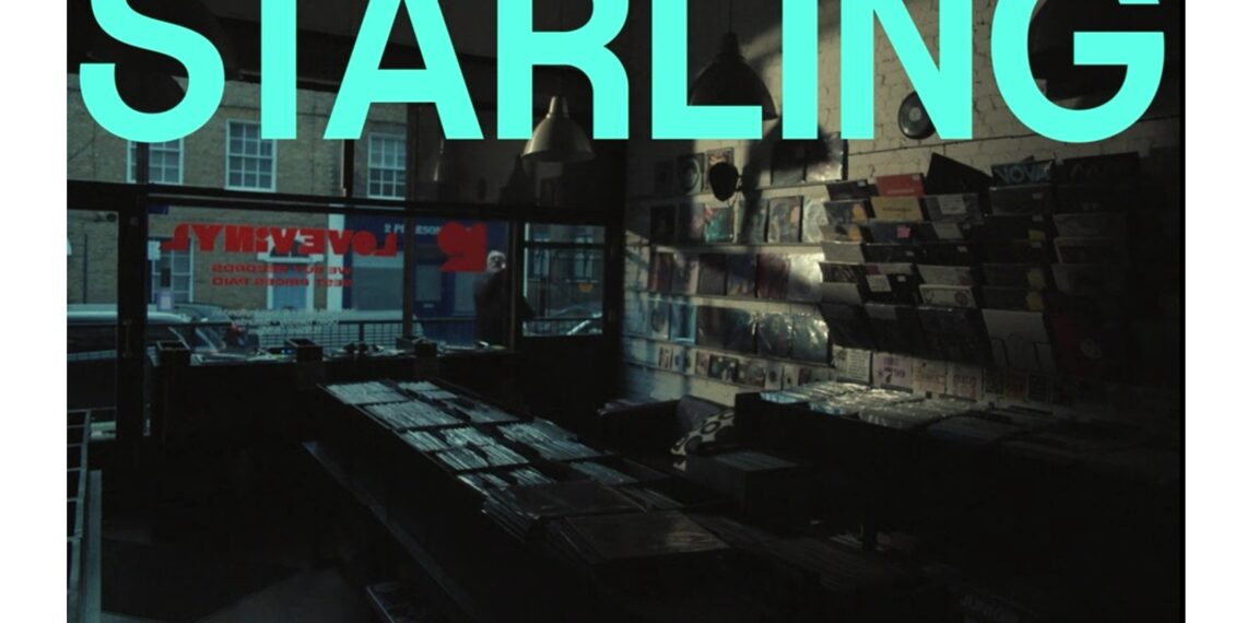 Starling launches SME campaign