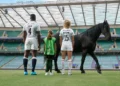Lloyds strikes landmark England Rugby partnership
